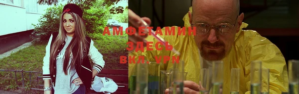 ешки Алексин