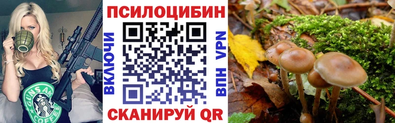 закладки  Анива  Галлюциногенные грибы MAGIC MUSHROOMS 